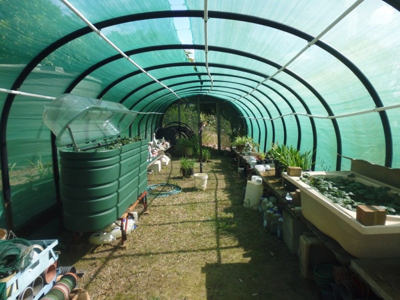 Apple Tree Creek QLD 4660