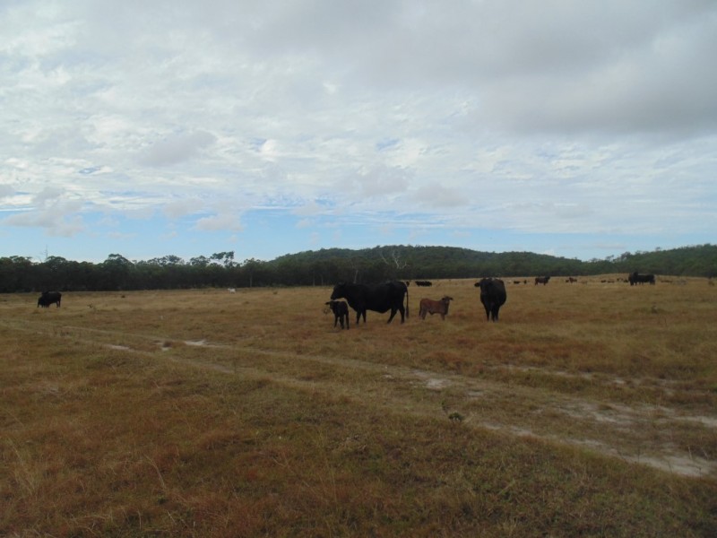 Agnes Water QLD 4677