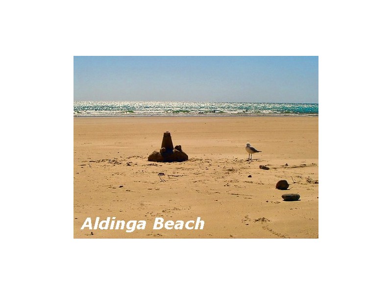 53 Cameron Road, Aldinga Beach SA 5173