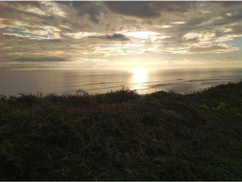 8 Baxter Road, Seaford SA 5169