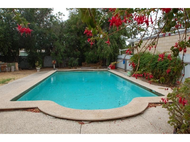 5 Trott Grove, Oaklands Park SA 5046
