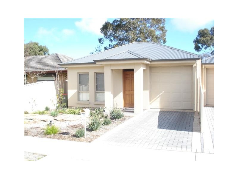 NO 14A  Calstock Avenue, Edwardstown SA 5039