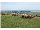 Pces 3-4 William Road, Cape Jervis SA 5204