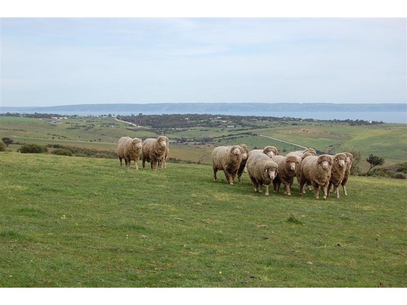 Pces 3-4 William Road, Cape Jervis SA 5204