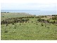 Pces 3-4 William Road, Cape Jervis SA 5204