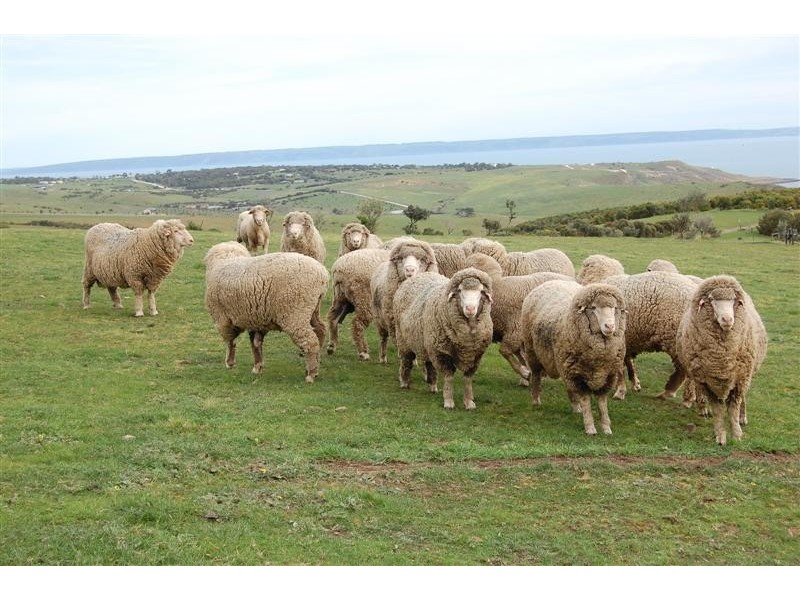 Pces 3-4 William Road, Cape Jervis SA 5204