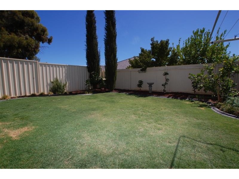 27 Scott Avenue, Clovelly Park SA 5042