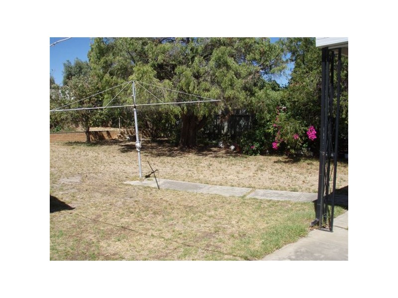 31 Dorene Street, St Marys SA 5042