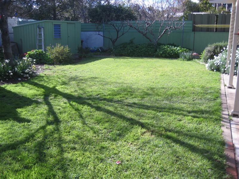 23 Oliphant Ave, Marion SA 5043