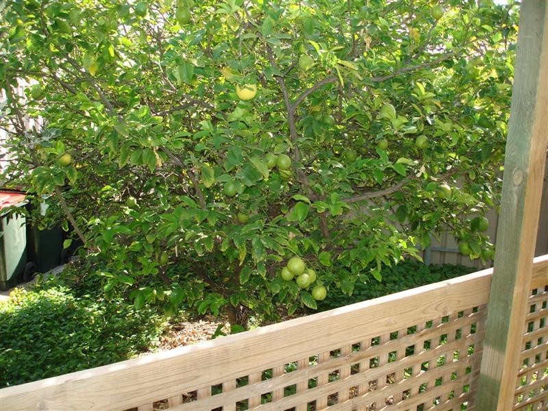 8a Fifth Avenue, Ascot Park SA 5043