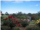 16 Greenfield Court, Willunga SA 5172