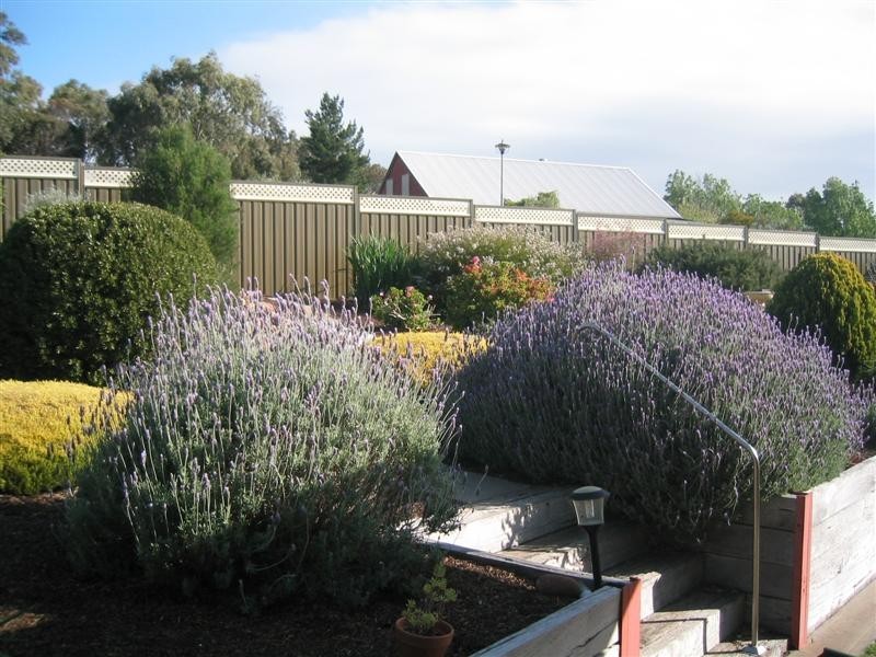 16 Greenfield Court, Willunga SA 5172