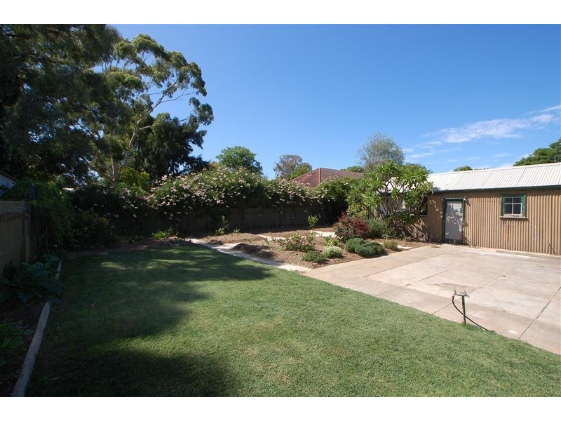 10 Olive Grove, Westbourne Park SA 5041