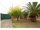 17 Grenache Avenue, Modbury SA 5092