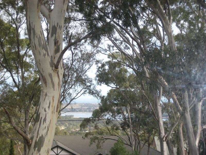 30 Mt Malvern Rd, Chandlers Hill SA 5159