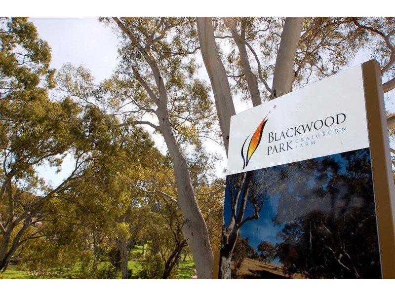 22 Woodlake Drive, Craigburn Farm SA 5051