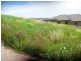 Lot 100 Unity Drive, Sheidow Park SA 5158
