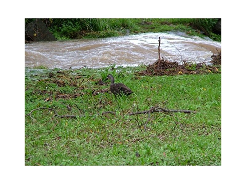 9 Banff Court, Happy Valley SA 5159