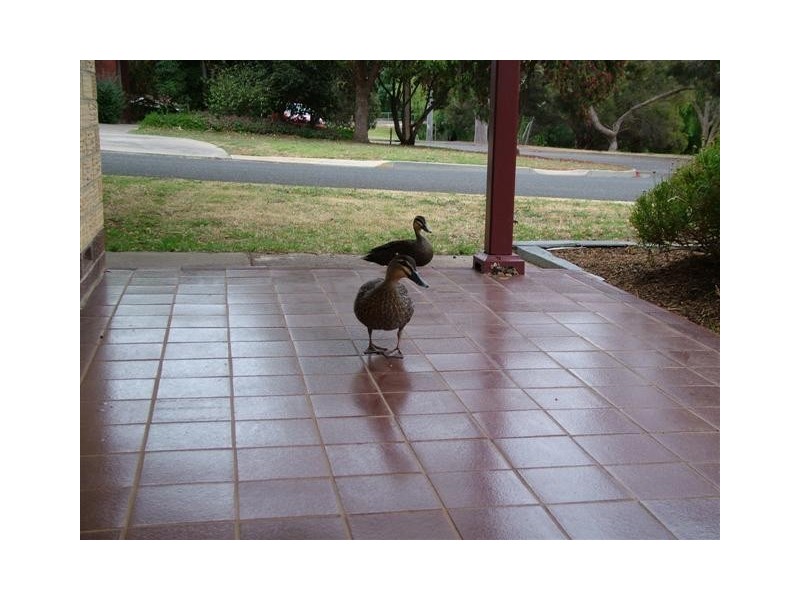 9 Banff Court, Happy Valley SA 5159