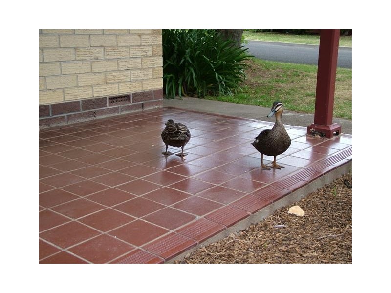 9 Banff Court, Happy Valley SA 5159