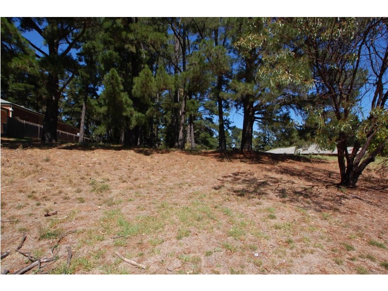 Lot 304 Pine Drive, Aberfoyle Park SA 5159