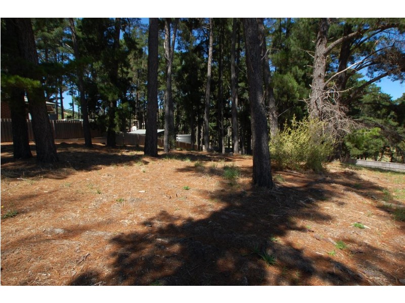 Lot 304 Pine Drive, Aberfoyle Park SA 5159