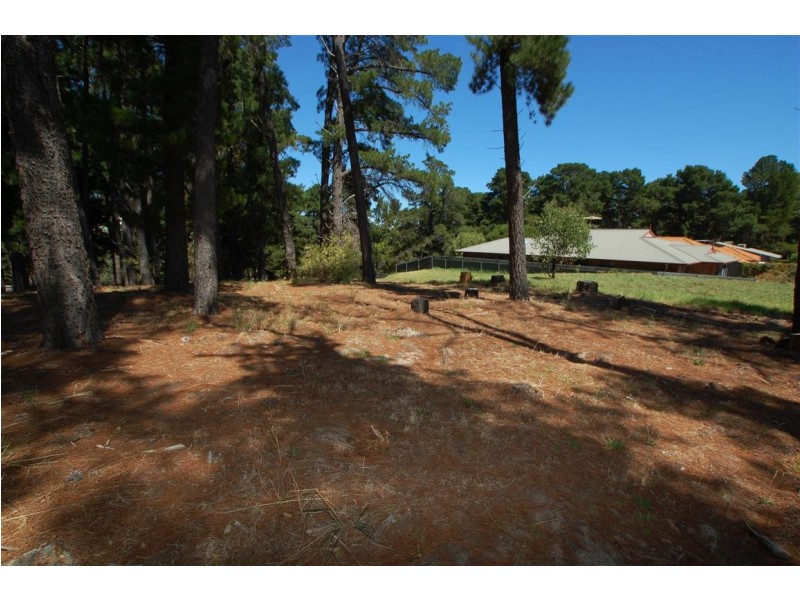 Lot 304 Pine Drive, Aberfoyle Park SA 5159