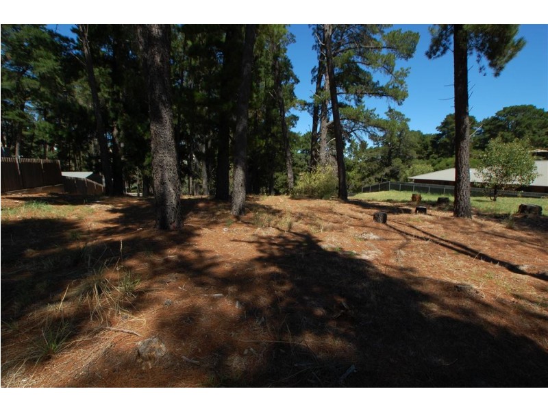 Lot 304 Pine Drive, Aberfoyle Park SA 5159