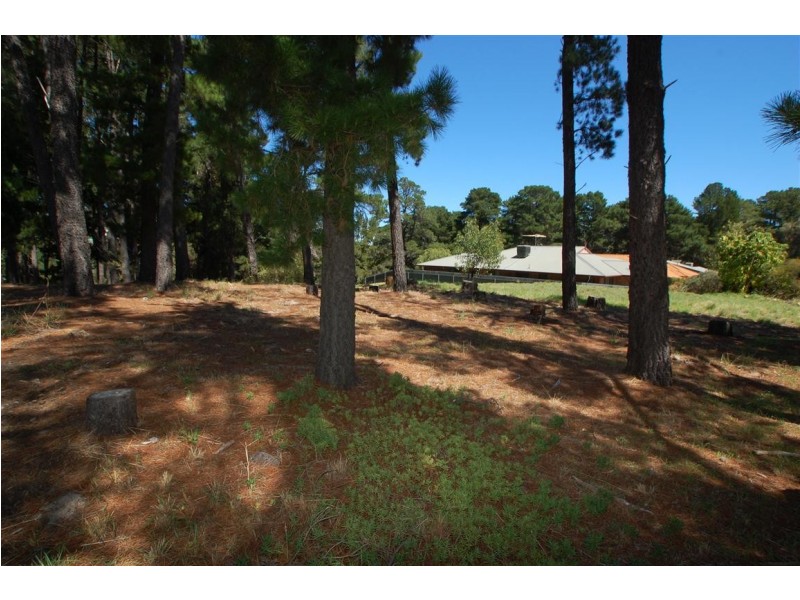 Lot 304 Pine Drive, Aberfoyle Park SA 5159