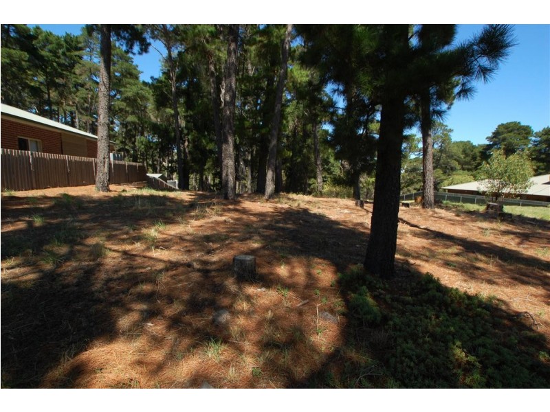 Lot 304 Pine Drive, Aberfoyle Park SA 5159