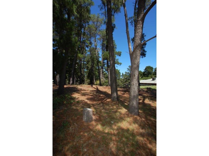 Lot 304 Pine Drive, Aberfoyle Park SA 5159