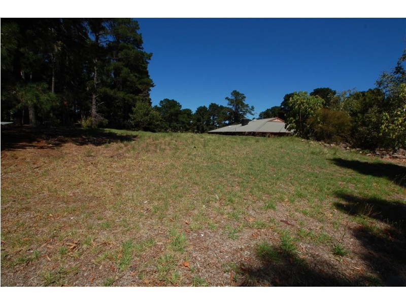 Lot 303 Pine Drive, Aberfoyle Park SA 5159