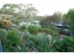 19 Walters Crescent, Aberfoyle Park SA 5159