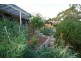 19 Walters Crescent, Aberfoyle Park SA 5159