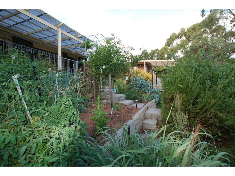 19 Walters Crescent, Aberfoyle Park SA 5159