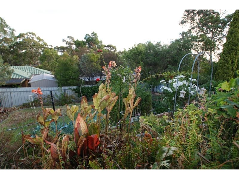 19 Walters Crescent, Aberfoyle Park SA 5159