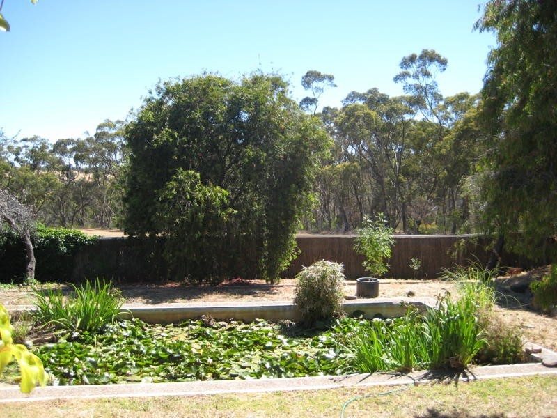 177 Blacks Road, Flagstaff Hill SA 5159