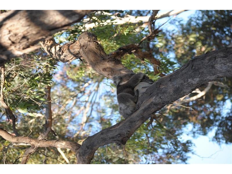 158 Main Road, Blackwood SA 5051