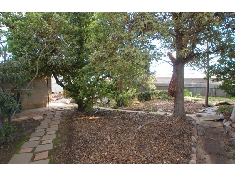 11 Sixth Avenue, Ascot Park SA 5043