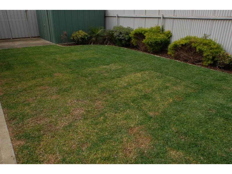 18 Wood Street, Ascot Park SA 5043