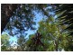 6 Hinton Street, Port Noarlunga SA 5167