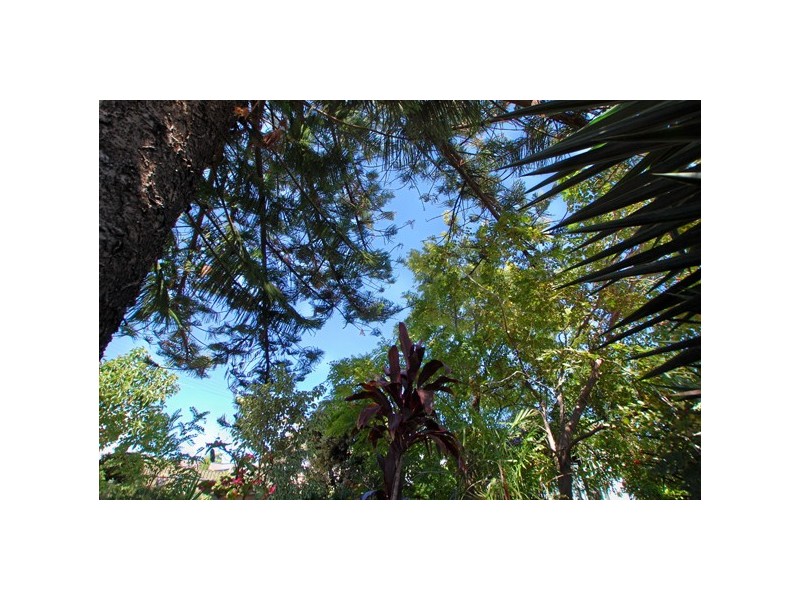 6 Hinton Street, Port Noarlunga SA 5167