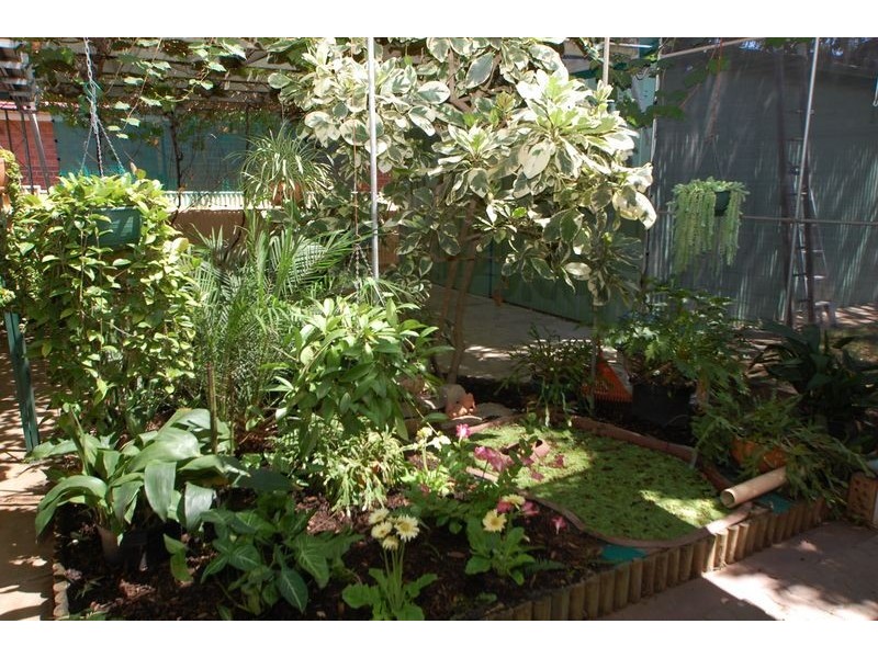 60 Quinlan Avenue, St Marys SA 5042