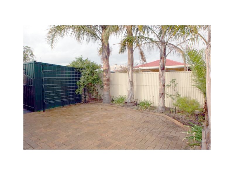 18 Clifford Street, Ascot Park SA 5043