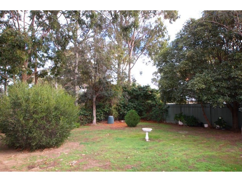 2-23 Jacob St, Marion SA 5043