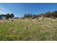 6 Sturt Lane, Hackham SA 5163