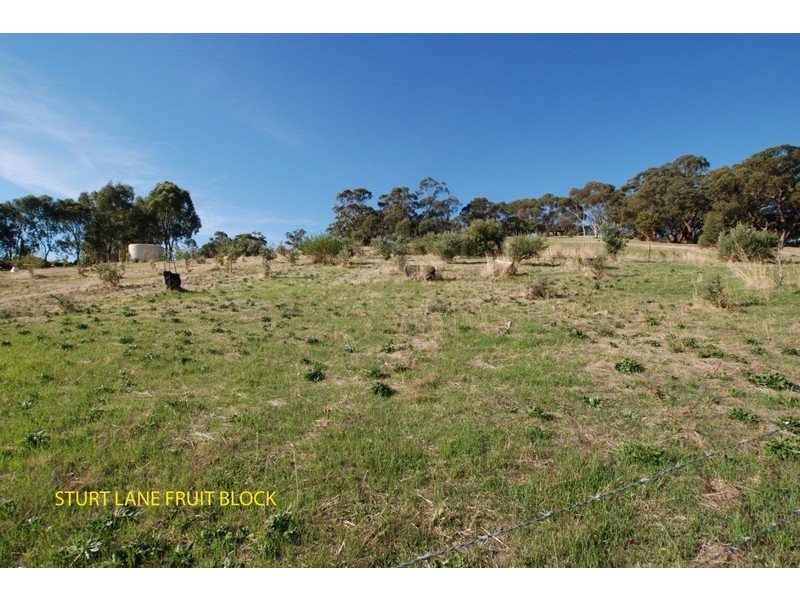 6 Sturt Lane, Hackham SA 5163