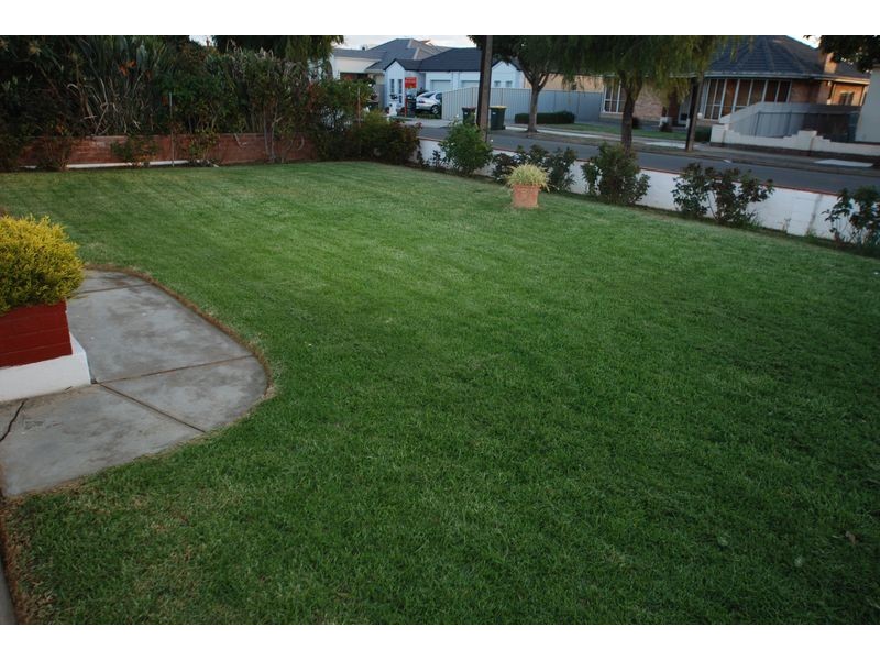 3 Cudmore Terrace, Marleston SA 5033