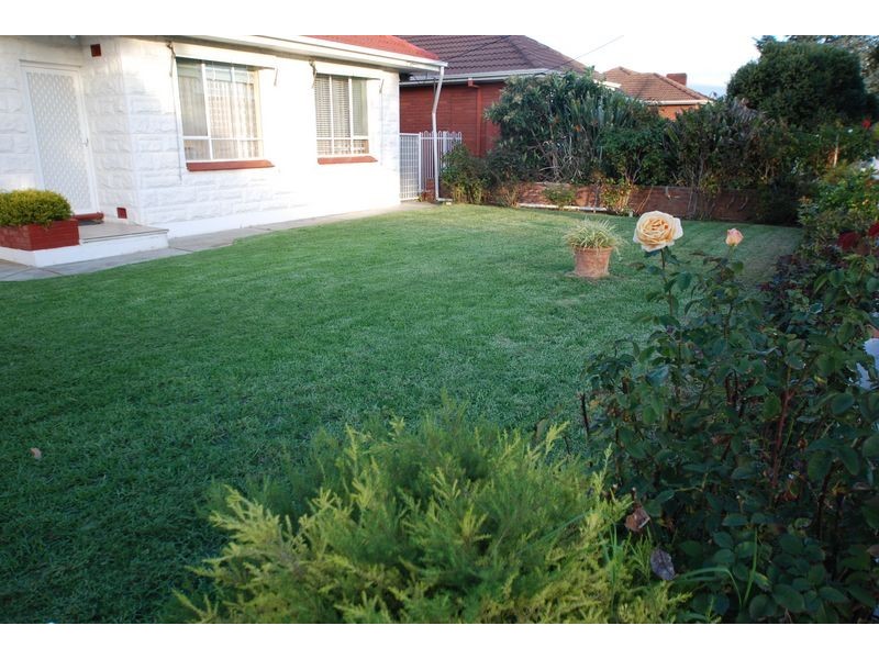 3 Cudmore Terrace, Marleston SA 5033