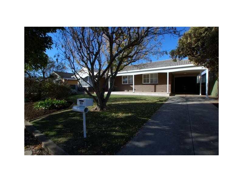 23 Johnstone Road, Oaklands Park SA 5046